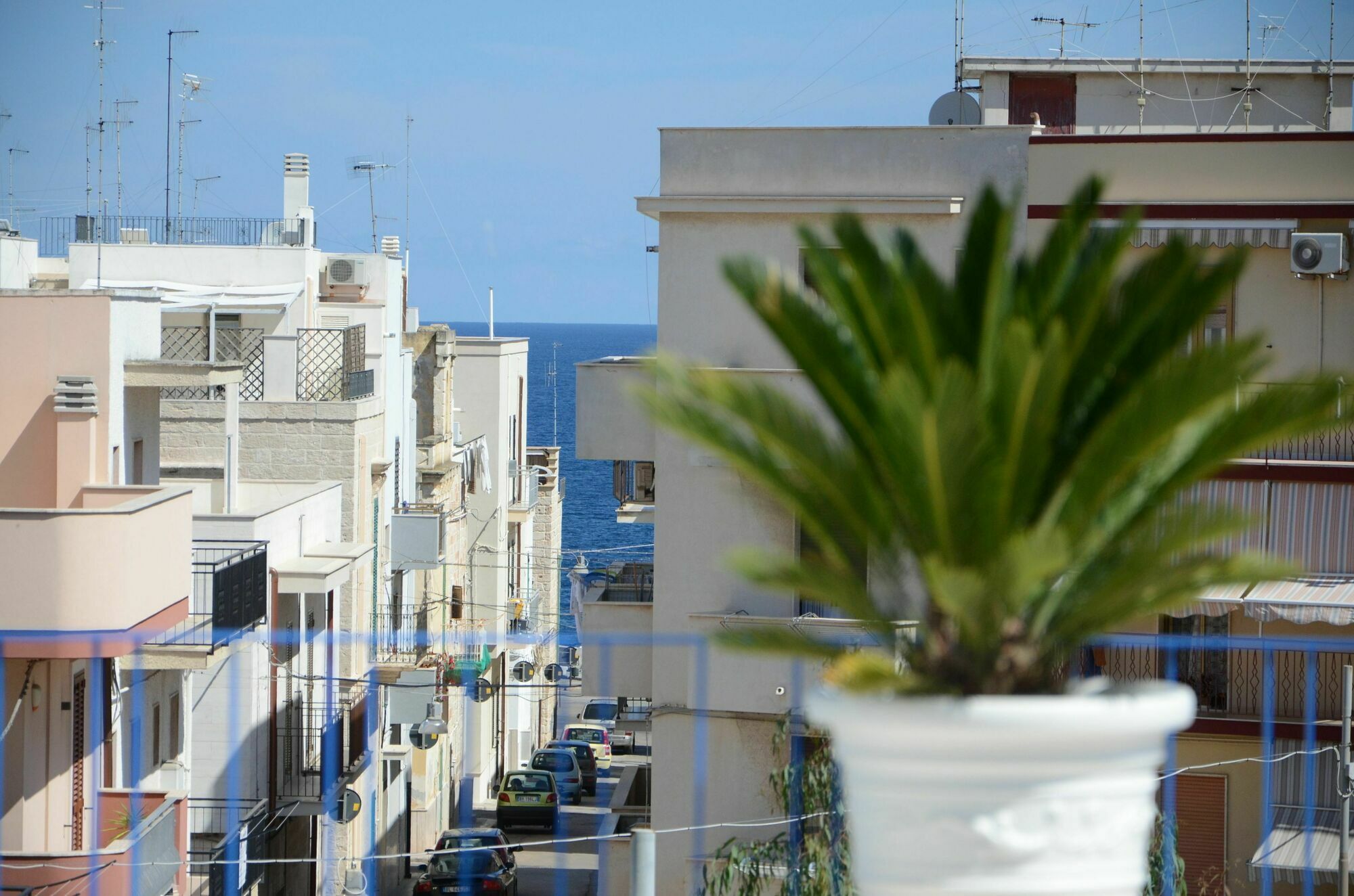 Bed and Breakfast Dimora Petruzzelli Polignano a Mare Zewnętrze zdjęcie
